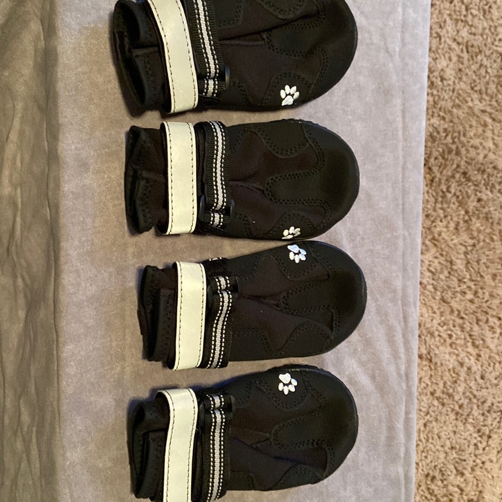 Dog boots